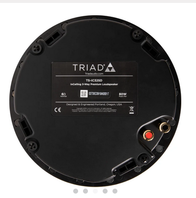 Distributed Audio Series 2 InCeiling Shallow Depth Speaker (Each) - 3"