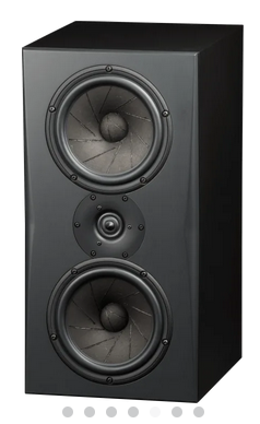 InRoom Gold Monitor (painted finish)