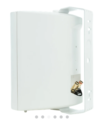 Outdoor OD25 (White) (Pair)