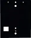 C4-DS2-BP-1
